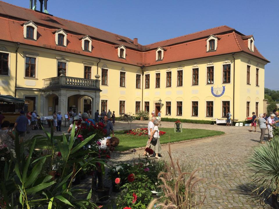  Wein-, Antik- und Gartenmarkt auf Schloss Proschwitz - Foto 1