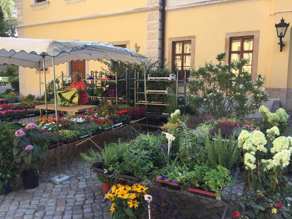  Wein-, Antik- und Gartenmarkt auf Schloss Proschwitz - Foto 3