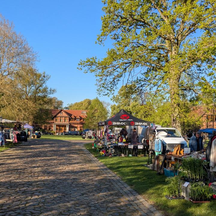 Flohmarkt und Genuss auf Gut Schwechow - Foto 2