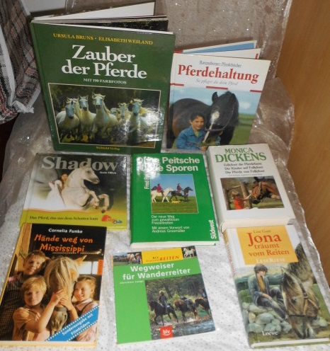 Erdbeerfest in Hoppensen 2025 Reitanlage am Rittergut, Am Rittergut 7, 37586 Hoppensen bei Dassel - Foto 2