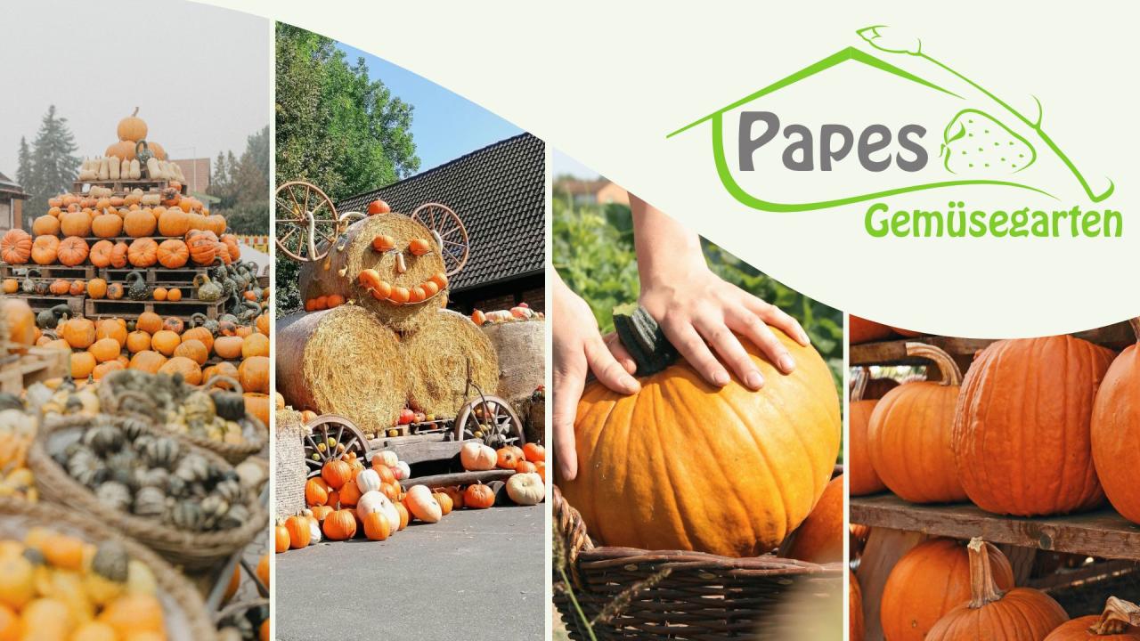  Kinderflohmarkt bei Papes Gemüsegarten - Foto 2
