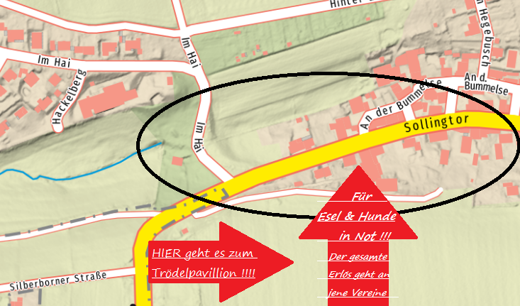  Trödelpavillion für Esel & Hunde in Not ! Gesamter Erlös wird gespendet ! JEDER € hilft zu helfen ! - Foto 1