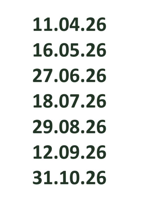  Toller Flohmarkt in Bleckede 2026 - Foto 1