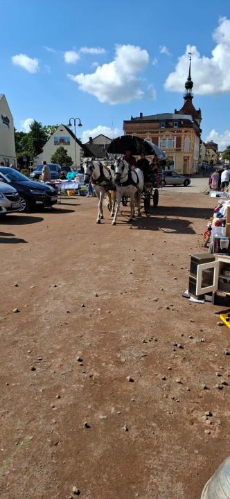  Flohmarkt/Trödelmarkt Frohburg - Foto 3