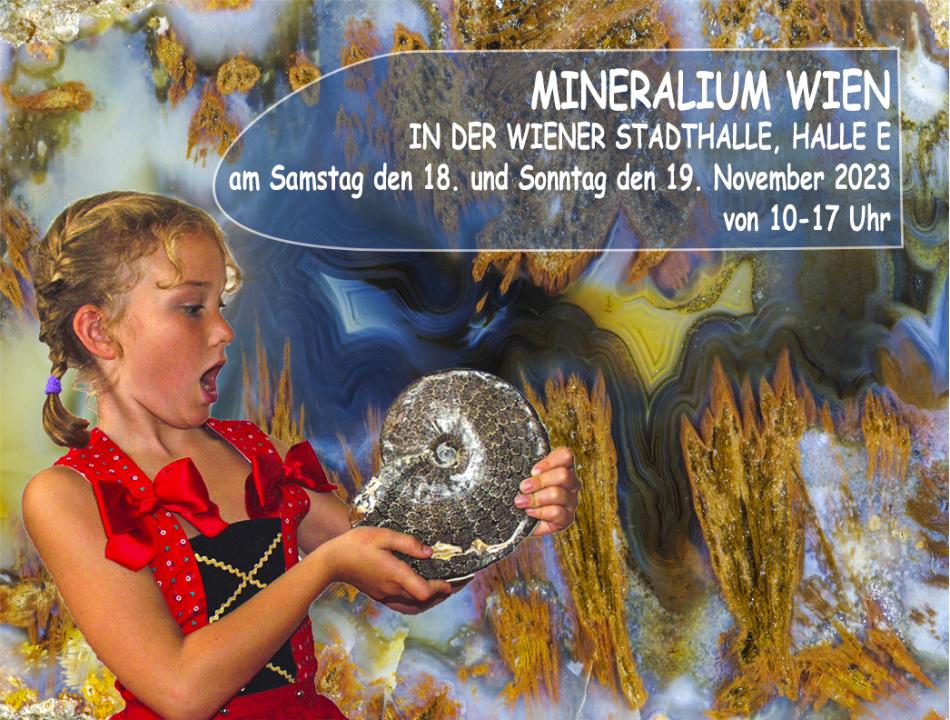  Mineralium Wien in der Wiener Stadthalle, Halle E - Foto 1