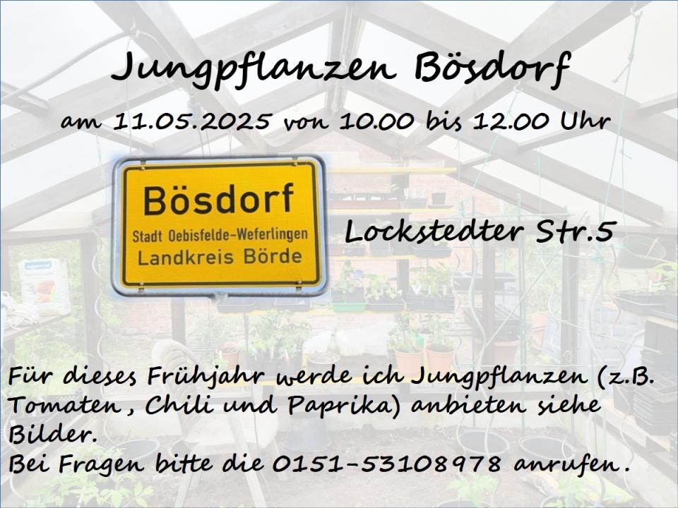 Jungpflanzen Bösdorf - Foto 1