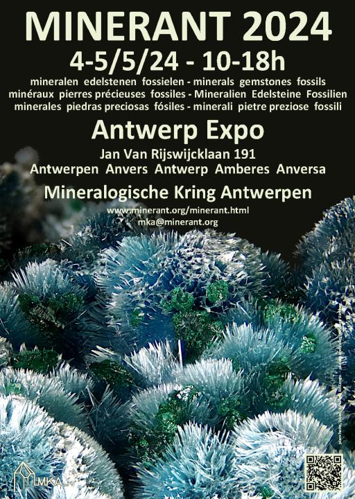  MINERANT 2024, 48. Internationale Messe für Mineralien und Fossilien in Antwerpen - Foto 1