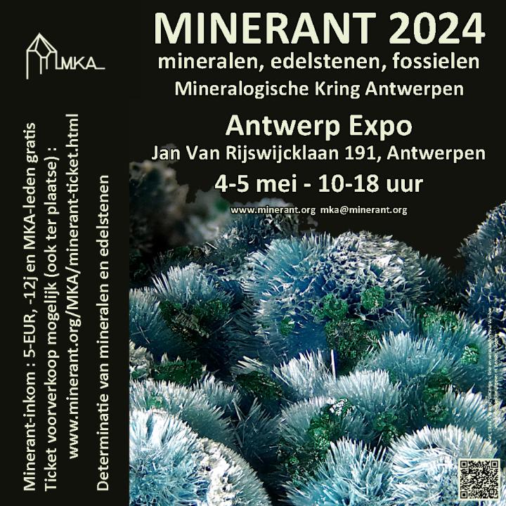  MINERANT 2024, 48. Internationale Messe für Mineralien und Fossilien in Antwerpen - Foto 2