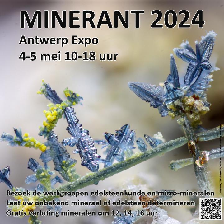  MINERANT 2024, 48. Internationale Messe für Mineralien und Fossilien in Antwerpen - Foto 3