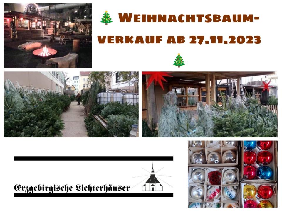  Weihnachtsbaumverkauf mit Weihnachts-/Trödelmarkt und Glühweingarten - Foto 1