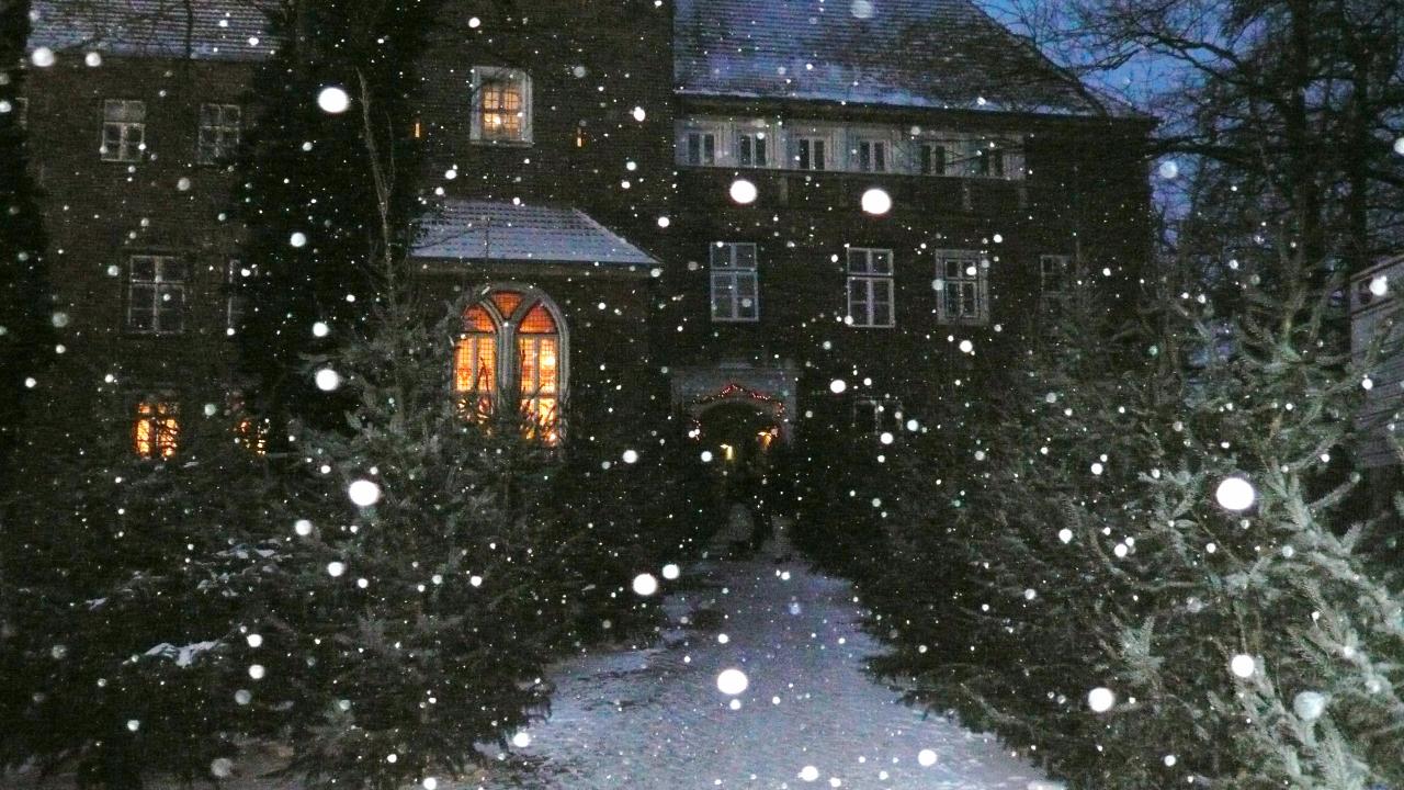  Weihnachtszauber - Weihnachtlicher Kunsthandwerkermarkt im Winsener Schloss - Foto 2