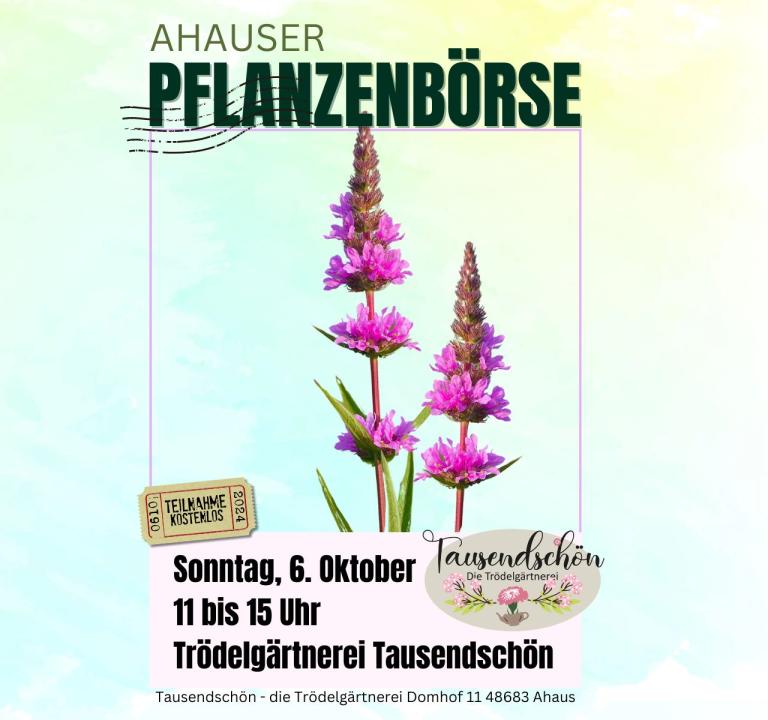  Ahauser Pflanzenbörse - Foto 1