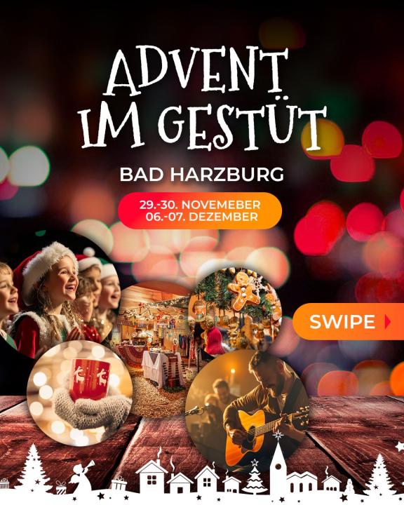 Advent im Gestüt im Gestüt Bad Harzburg - Foto 2