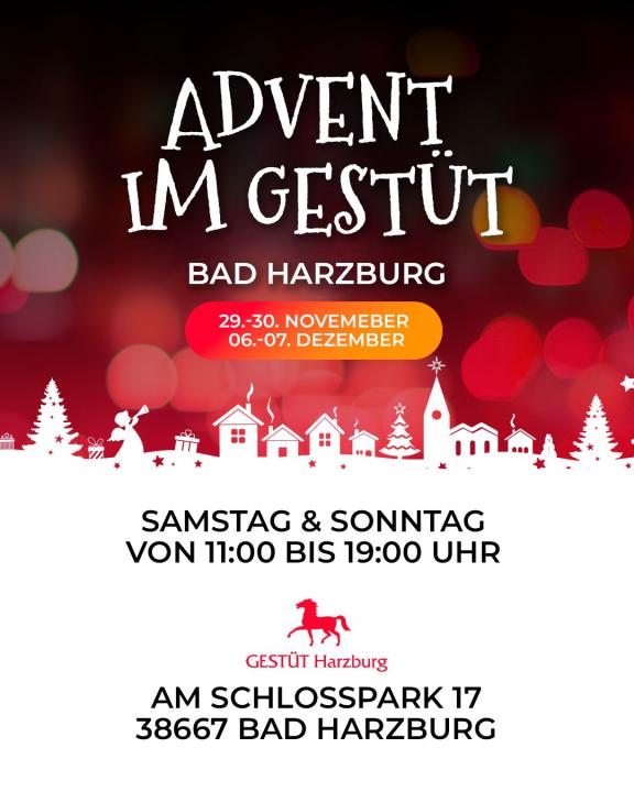 Advent im Gestüt im Gestüt Bad Harzburg - Foto 3
