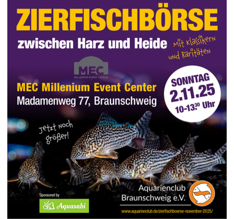 Zierfischbörse zwischen Harz und Heide – Die größte Zierfischbörse Deutschlands! - Foto 1
