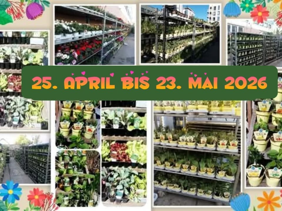  Großer Pflanzen- und Kräutermarkt, mit Biergarten - Foto 1